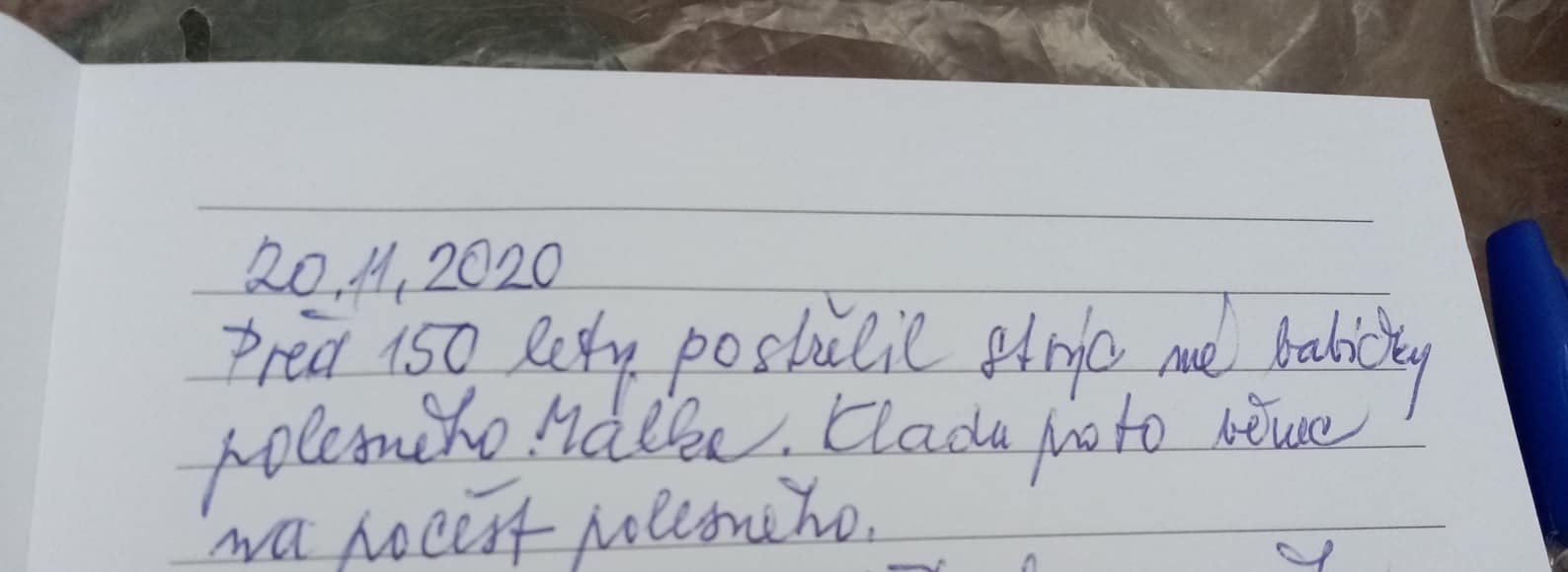 zápis v deníku malik